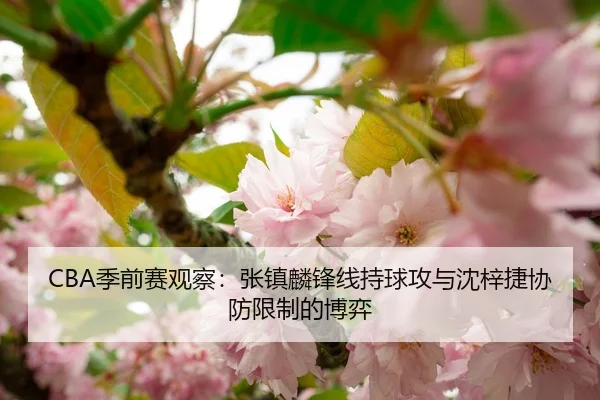 CBA季前赛观察：张镇麟锋线持球攻与沈梓捷协防限制的博弈