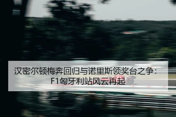 han-mi-er-dun-mei-ben-hui-gui-yu-nuo-li-si-ling-jiang-tai-zhi-zheng-xiong-ya-li-zhan-feng-yun-zai-qi-2-158.jpg