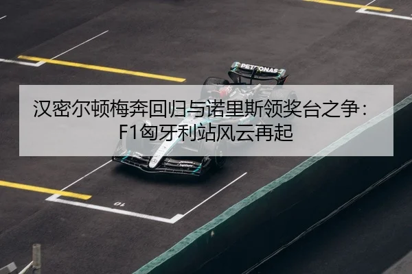 han-mi-er-dun-mei-ben-hui-gui-yu-nuo-li-si-ling-jiang-tai-zhi-zheng-xiong-ya-li-zhan-feng-yun-zai-qi-3-392.jpg