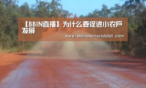 BBIN娱乐