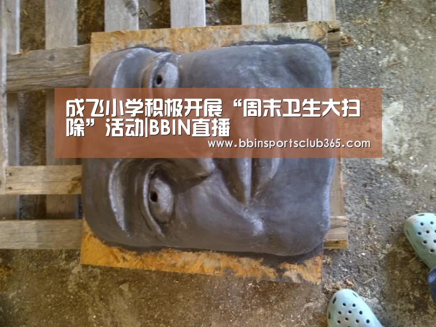 成飞小学积极开展“周末卫生大扫除”活动|